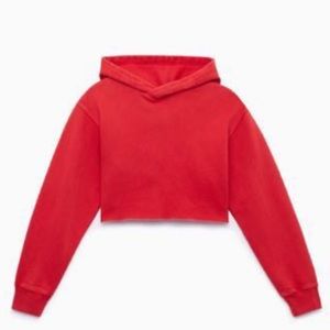 ARITZIA TNA PERFECT CROP HOODIE